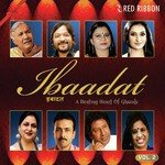 Ibaadat - A Beating Heart Of Ghazals Vol. 2 - Ghulam Mustafa Khan Song Download
